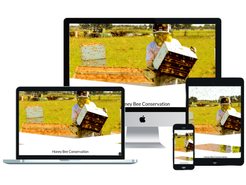 Dawson Bailey On Environment Website Template